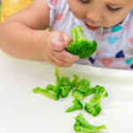 Requisitos para empezar la Alimentación Complementaria.