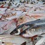 Pescados que no debe comer un niño.